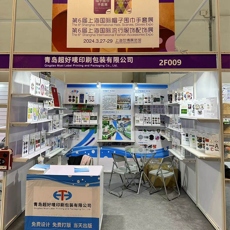 Shanghai International Expos'ta bir sıçrama yapmam gerekir